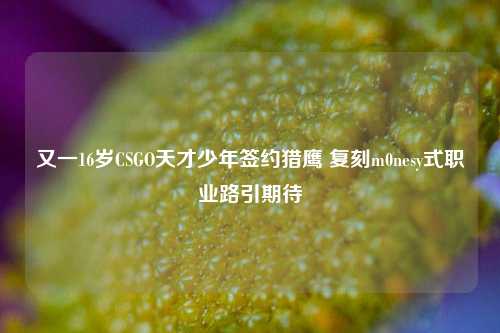 又一16岁CSGO天才少年签约猎鹰 复刻m0nesy式职业路引期待