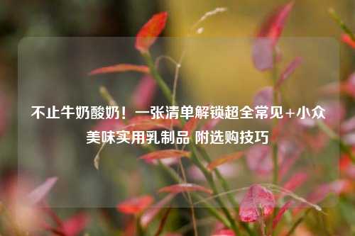 不止牛奶酸奶!一张清单解锁超全常见+小众美味实用乳制品 附选购技巧