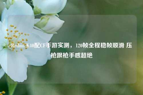 Redmi K40配CF手游实测,120帧全程稳帧顺滑 压枪跟枪手感超绝