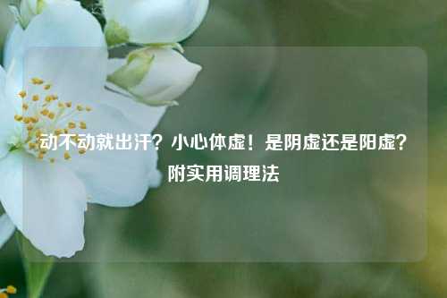 动不动就出汗?小心体虚!是阴虚还是阳虚?附实用调理法