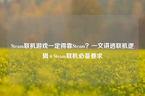 Steam联机游戏一定得靠Steam？一文讲透联机逻辑+Steam联机必备要求