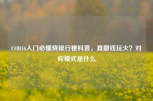 COD16入门必懂烧银行梗科普,真撒钱玩火?对应模式是什么