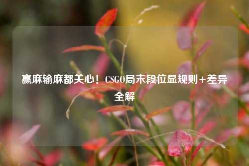 赢麻输麻都关心!CSGO局末段位显规则+差异全解