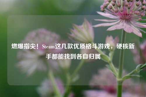 燃爆指尖！Steam这几款优质格斗游戏，硬核新手都能找到各自归属