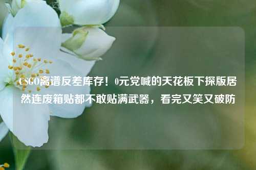 CSGO离谱反差库存!0元党喊的天花板下探版居然连废箱贴都不敢贴满武器,看完又笑又破防