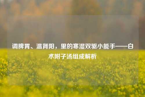 调脾胃、温肾阳,里的寒湿双驱小能手——白术附子汤组成解析