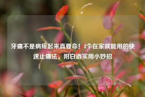 牙痛不是病疼起来真要命!8个在家就能用的快速止痛法,附白酒实用小妙招