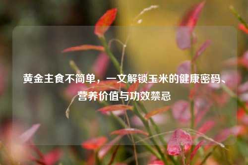 黄金主食不简单,一文解锁玉米的健康密码、营养价值与功效禁忌
