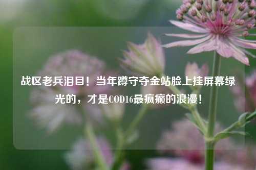 战区老兵泪目!当年蹲守夺金站脸上挂屏幕绿光的,才是COD16最疯癫的浪漫!