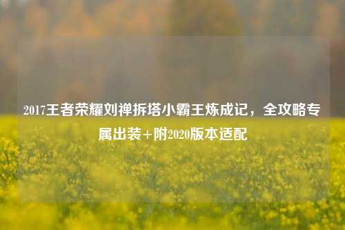 2017王者荣耀刘禅拆塔小霸王炼成记，全攻略专属出装+附2020版本适配