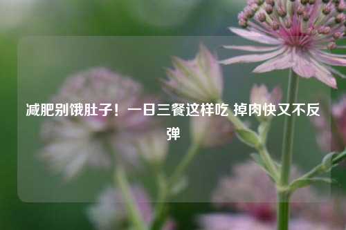 减肥别饿肚子！一日三餐这样吃 掉肉快又不反弹