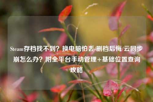 Steam存档找不到?换电脑怕丢/删档后悔/云同步崩怎么办?附全平台手动管理+基础位置查询攻略