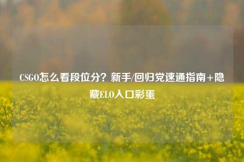 CSGO怎么看段位分?新手/回归党速通指南+隐藏ELO入口彩蛋