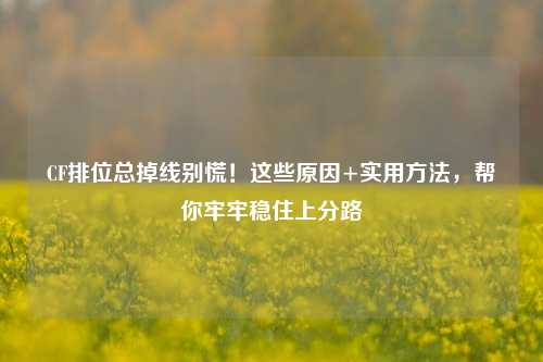 CF排位总掉线别慌！这些原因+实用方法，帮你牢牢稳住上分路