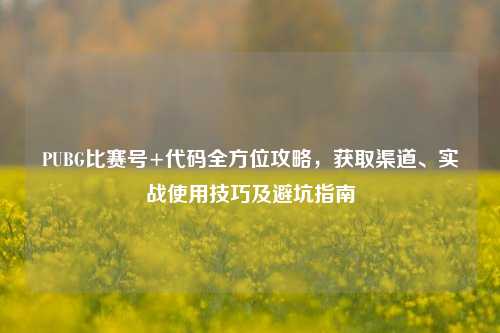 PUBG比赛号+代码全方位攻略,获取渠道、实战使用技巧及避坑指南