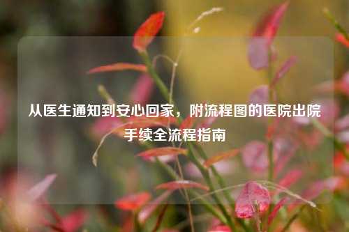 从医生通知到安心回家，附流程图的医院出院手续全流程指南