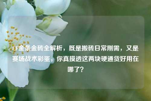 CF金条金砖全解析,既是搬砖日常刚需,又是赛场战术彩蛋,你真摸透这两块硬通货好用在哪了?