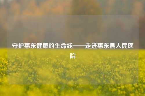 守护惠东健康的生命线——走进惠东县人民医院