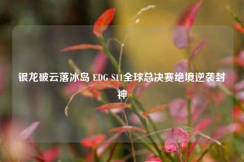 银龙破云落冰岛 EDG S11全球总决赛绝境逆袭封神