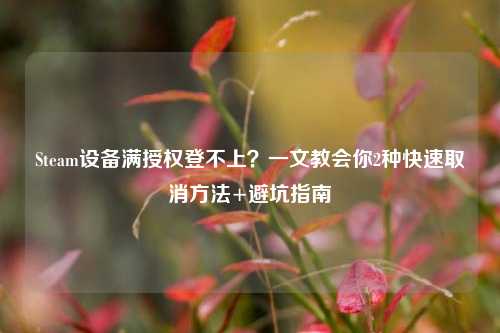 Steam设备满授权登不上?一文教会你2种快速取消方法+避坑指南