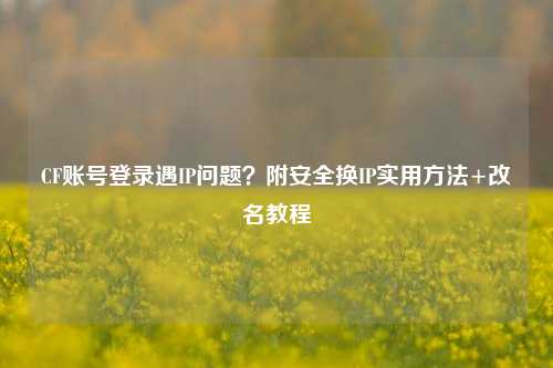 CF账号登录遇IP问题？附安全换IP实用方法+改名教程