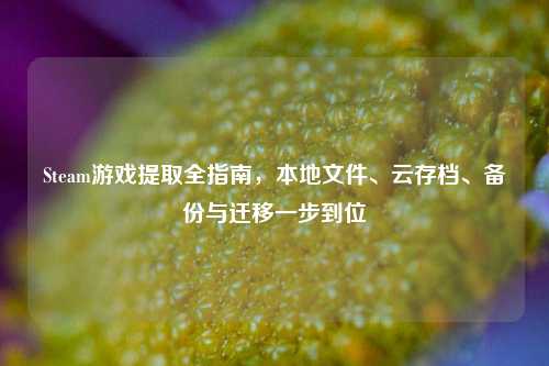 Steam游戏提取全指南,本地文件、云存档、备份与迁移一步到位