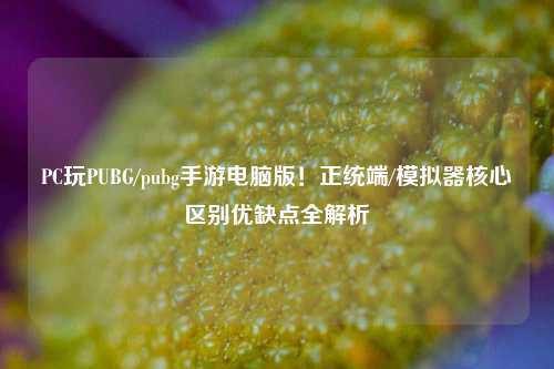 PC玩PUBG/pubg手游电脑版!正统端/模拟器核心区别优缺点全解析