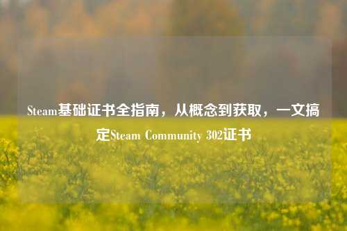 Steam基础证书全指南,从概念到获取,一文搞定Steam Community 302证书