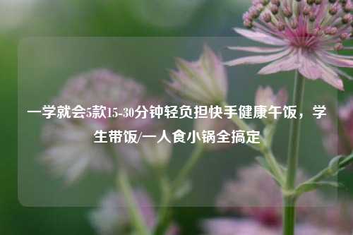 一学就会5款15-30分钟轻负担快手健康午饭,学生带饭/一人食小锅全搞定