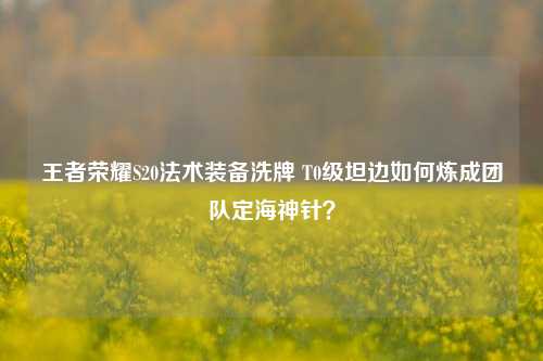 王者荣耀S20法术装备洗牌 T0级坦边如何炼成团队定海神针?