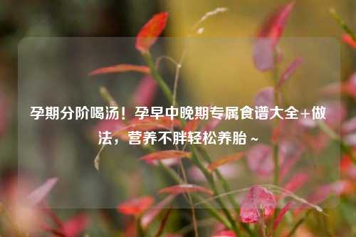 孕期分阶喝汤!孕早中晚期专属食谱大全+做法,营养不胖轻松养胎~
