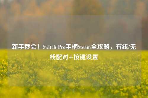 新手秒会!Switch Pro手柄Steam全攻略,有线/无线配对+按键设置