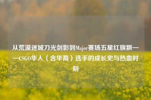 从荒漠迷城刀光剑影到Major赛场五星红旗飘——CSGO华人(含华裔)选手的成长史与热血时刻