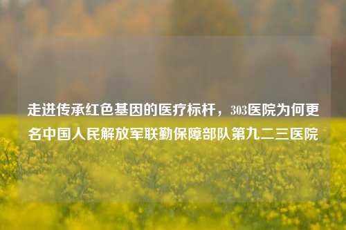 走进传承红色基因的医疗标杆,303医院为何更名中国人民解放军联勤保障部队第九二三医院