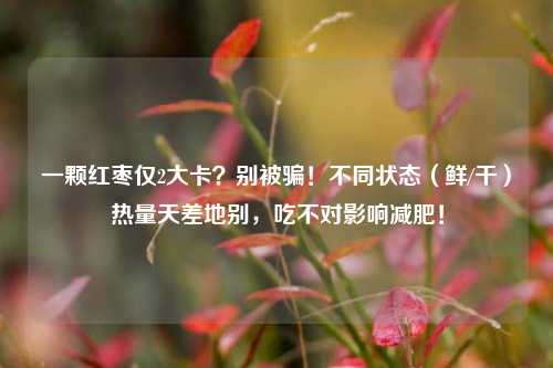 一颗红枣仅2大卡?别被骗!不同状态(鲜/干)热量天差地别,吃不对影响减肥!