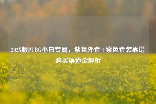 202X版PUBG小白专属,紫色外套+紫色套装靠谱购买渠道全解析