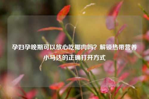 孕妇孕晚期可以放心吃椰肉吗?解锁热带营养小马达的正确打开方式