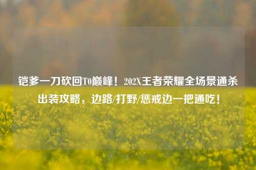 铠爹一刀砍回T0巅峰!202X王者荣耀全场景通杀出装攻略,边路/打野/惩戒边一把通吃!
