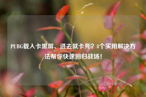 PUBG载入卡黑屏、进去就卡死？8个实用解决方法帮你快速回归战场！