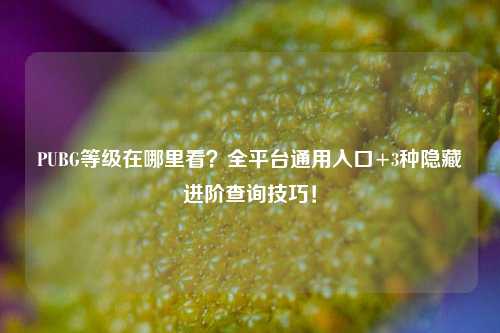 PUBG等级在哪里看？全平台通用入口+3种隐藏进阶查询技巧！