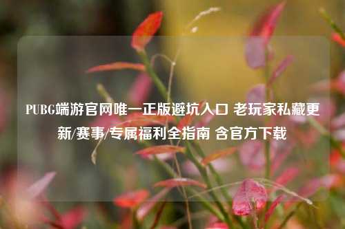 PUBG端游官网唯一正版避坑入口 老玩家私藏更新/赛事/专属福利全指南 含官方下载