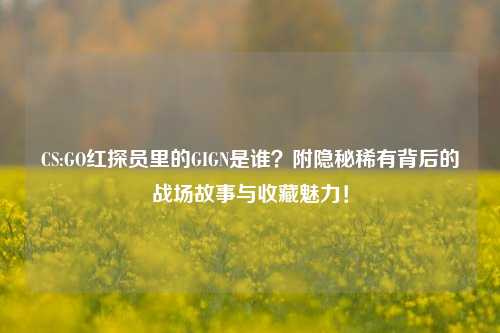 CS:GO红探员里的GIGN是谁?附隐秘稀有背后的战场故事与收藏魅力!