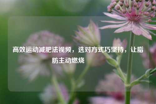 高效运动减肥法视频,选对方式巧坚持,让脂肪主动燃烧🔥