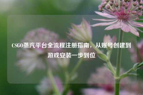 CSGO蒸汽平台全流程注册指南，从账号创建到游戏安装一步到位