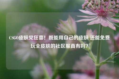 CSGO皮肤党狂喜！既能用自己的皮肤 还能免费玩全皮肤的社区服真有吗？