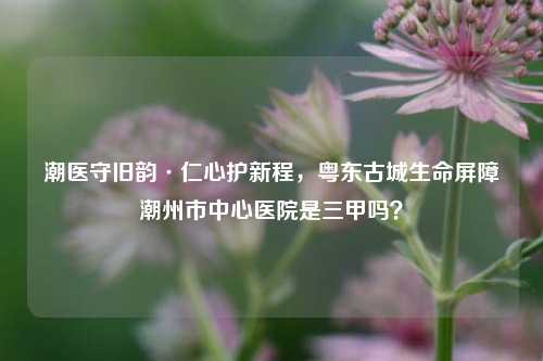 潮医守旧韵·仁心护新程，粤东古城生命屏障潮州市中心医院是三甲吗？