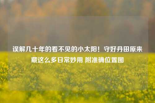 误解几十年的看不见的小太阳!守好丹田原来藏这么多日常妙用 附准确位置图