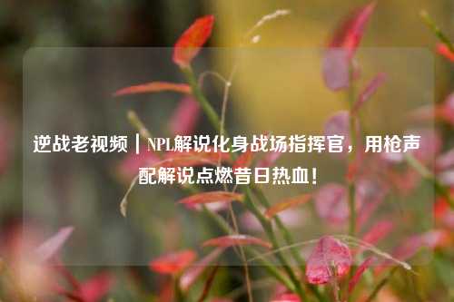 逆战老视频|NPL解说化身战场指挥官,用枪声配解说点燃昔日热血!