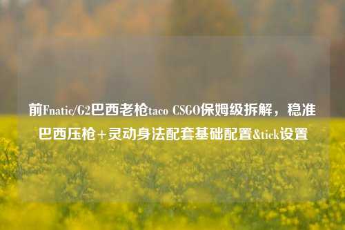 前Fnatic/G2巴西老枪taco CSGO保姆级拆解,稳准巴西压枪+灵动身法配套基础配置&tick设置