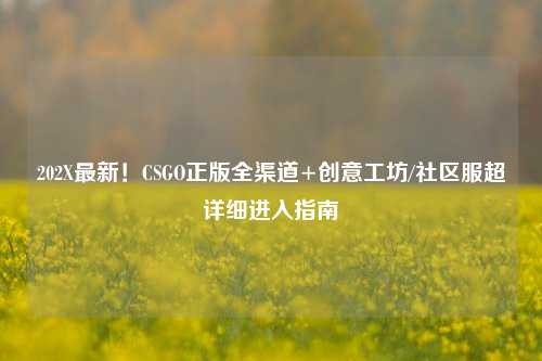 202X最新!CSGO正版全渠道+创意工坊/社区服超详细进入指南